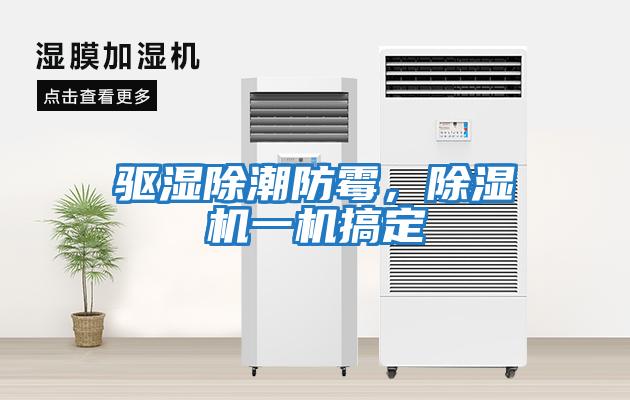 驅濕除潮防霉，除濕機一機搞定