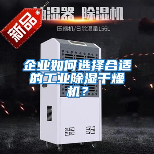 企業如何選擇合適的工業除濕干燥機？
