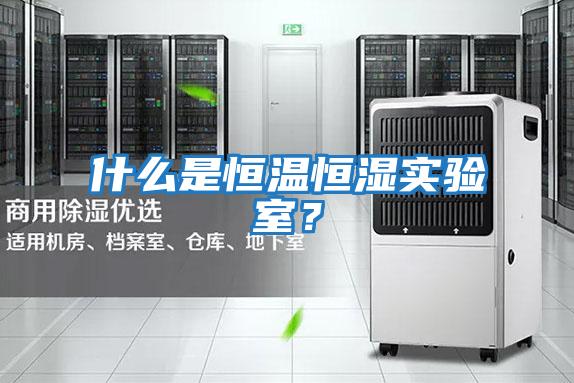 什么是恒溫恒濕實驗室？