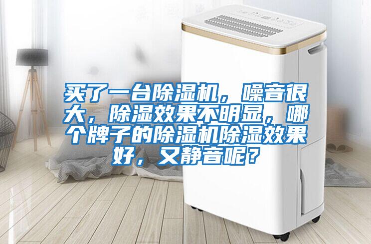 買了一臺除濕機，噪音很大，除濕效果不明顯，哪個牌子的除濕機除濕效果好，又靜音呢？