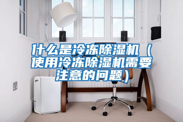 什么是冷凍除濕機(jī)（使用冷凍除濕機(jī)需要注意的問(wèn)題）