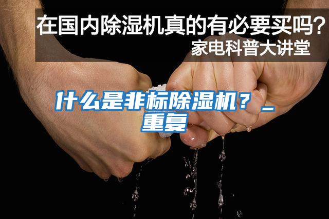 什么是非標除濕機？_重復