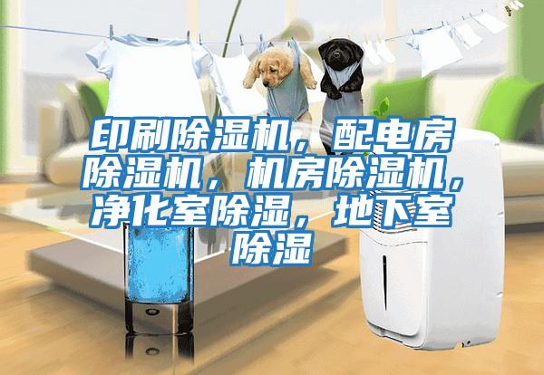 印刷除濕機，配電房除濕機，機房除濕機，凈化室除濕，地下室除濕