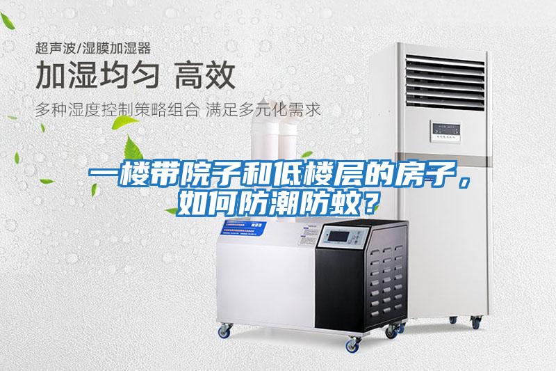 一樓帶院子和低樓層的房子，如何防潮防蚊？
