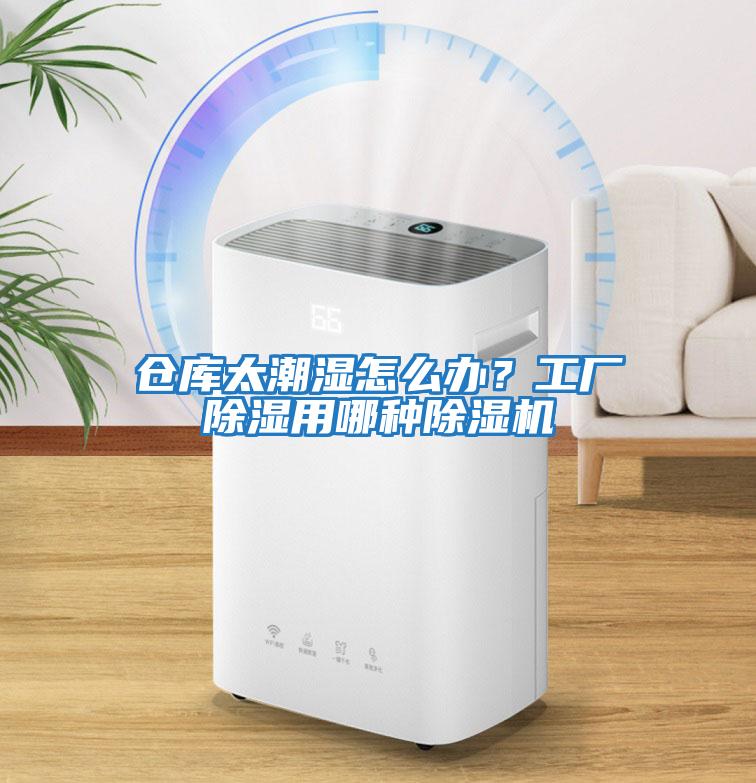 倉庫太潮濕怎么辦？工廠除濕用哪種除濕機