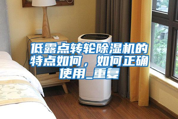 低露點轉輪除濕機的特點如何，如何正確使用_重復