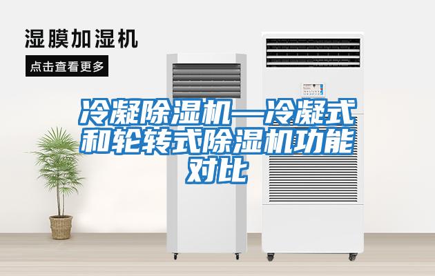 冷凝除濕機—冷凝式和輪轉(zhuǎn)式除濕機功能對比