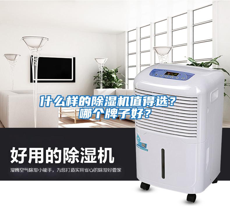 什么樣的除濕機(jī)值得選？ 哪個(gè)牌子好？