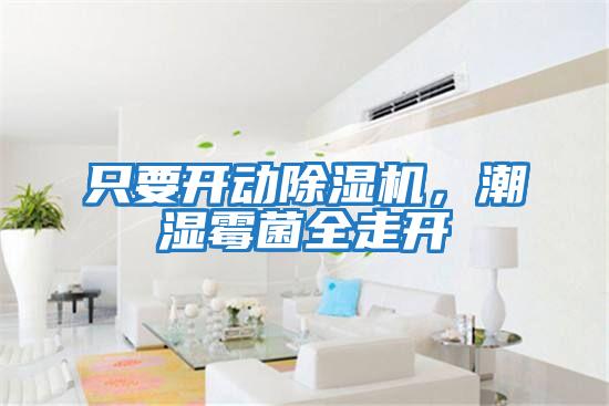 只要開動除濕機，潮濕霉菌全走開