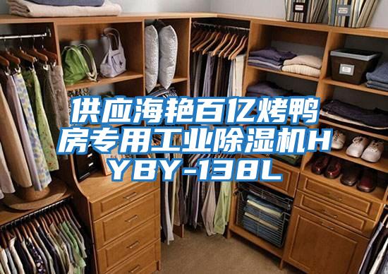 供應(yīng)海艷百億烤鴨房專(zhuān)用工業(yè)除濕機(jī)HYBY-138L