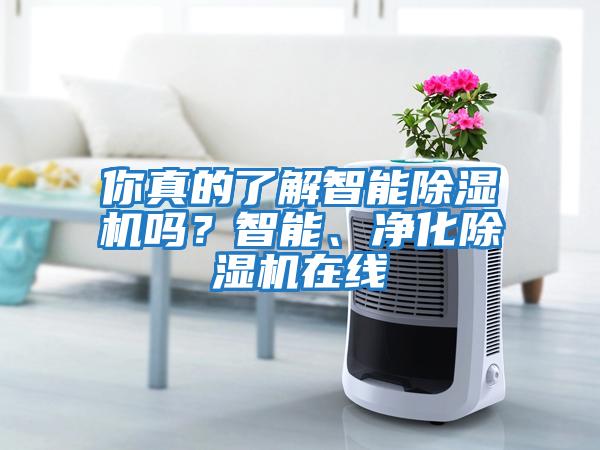 你真的了解智能除濕機嗎？智能、凈化除濕機在線