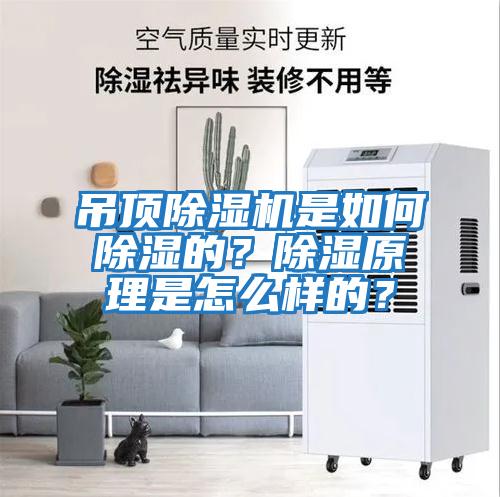 吊頂除濕機是如何除濕的？除濕原理是怎么樣的？
