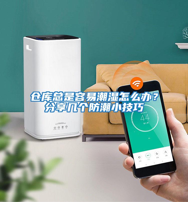 倉庫總是容易潮濕怎么辦？分享幾個防潮小技巧