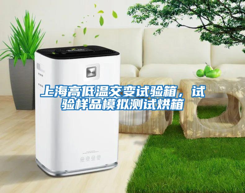上海高低溫交變試驗箱，試驗樣品模擬測試烘箱