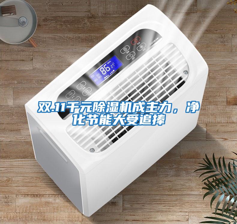 雙.11千元除濕機(jī)成主力，凈化節(jié)能大受追捧