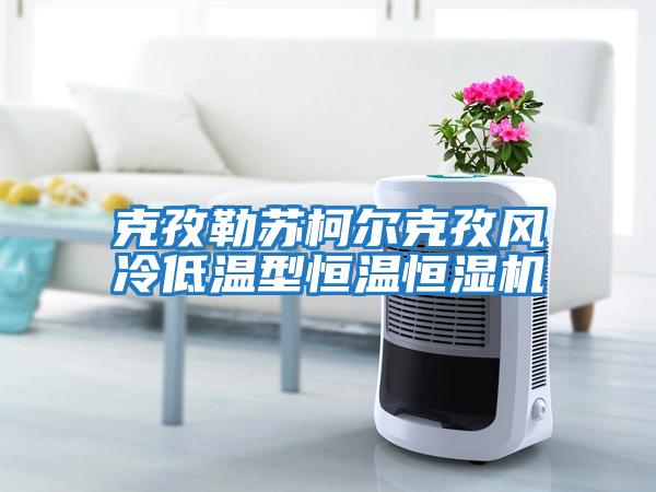 克孜勒蘇柯?tīng)柨俗物L(fēng)冷低溫型恒溫恒濕機(jī)
