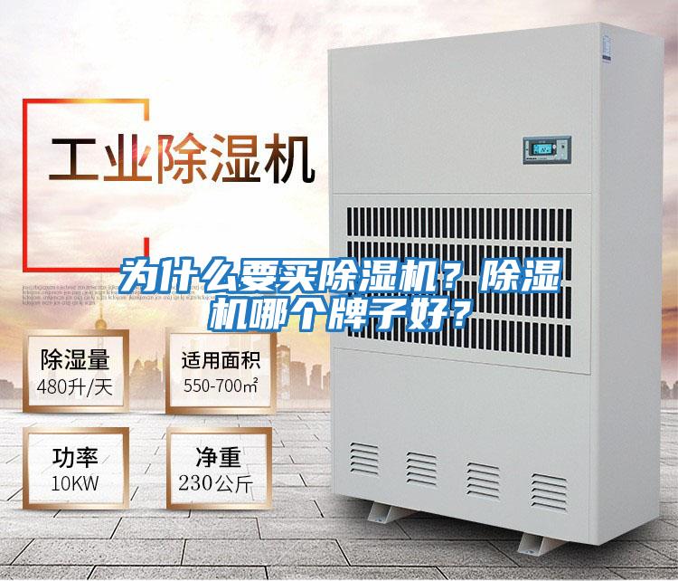 為什么要買除濕機？除濕機哪個牌子好？