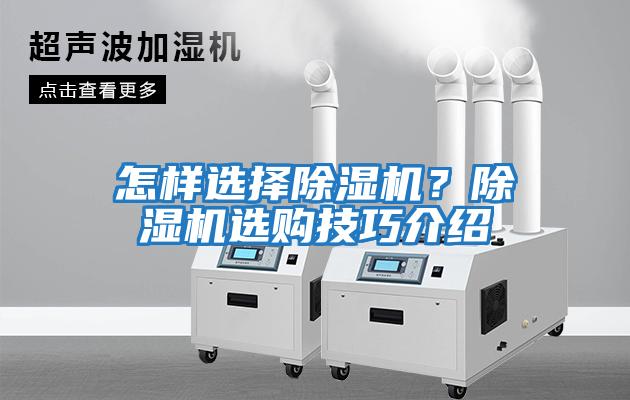 怎樣選擇除濕機？除濕機選購技巧介紹