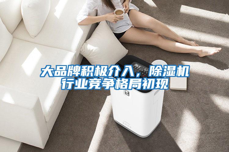 大品牌積極介入，除濕機(jī)行業(yè)競(jìng)爭(zhēng)格局初現(xiàn)