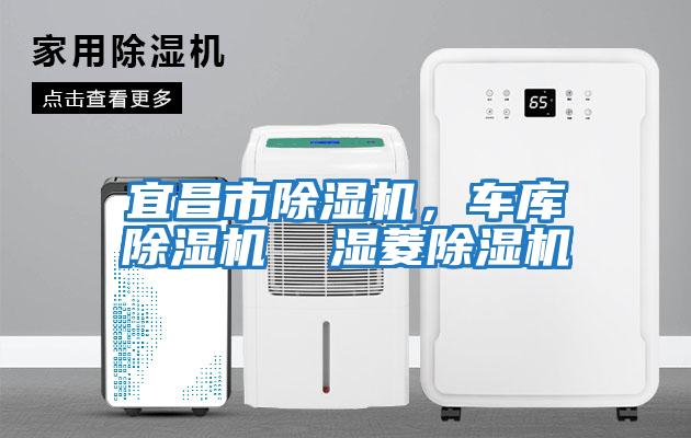 宜昌市除濕機，車庫除濕機  濕菱除濕機