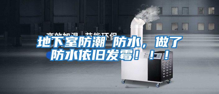 地下室防潮≠防水，做了防水依舊發霉?。?！