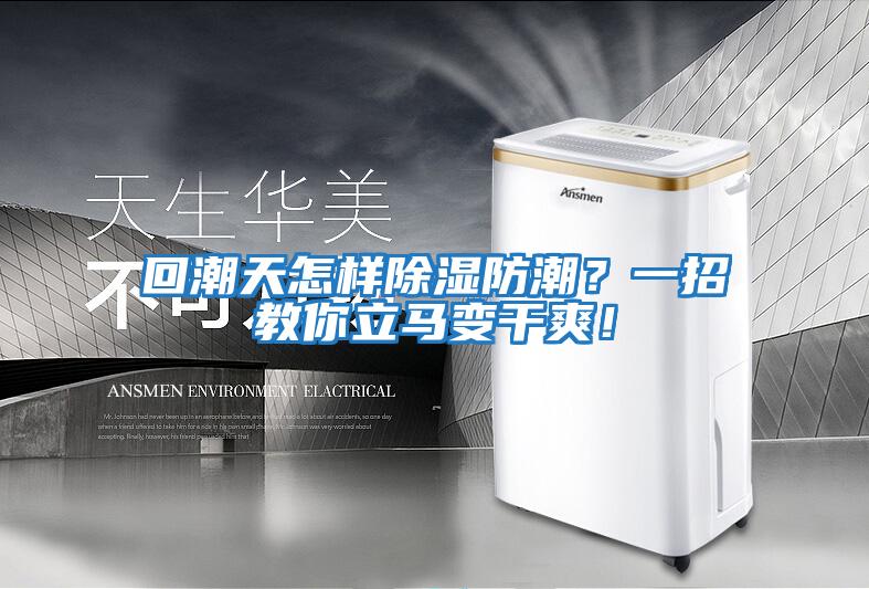 回潮天怎樣除濕防潮？一招教你立馬變干爽！