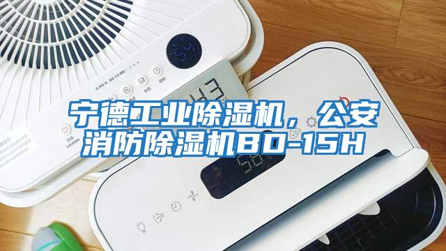 寧德工業(yè)除濕機，公安消防除濕機BD-15H