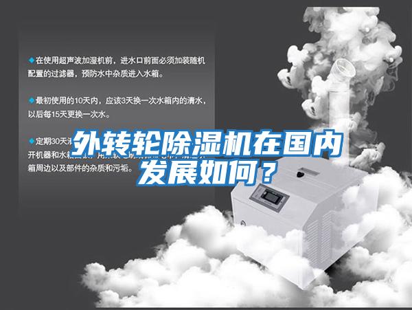 外轉輪除濕機在國內發展如何？