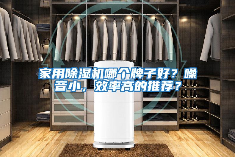 家用除濕機哪個牌子好？噪音小，效率高的推薦？