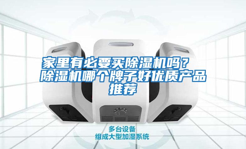 家里有必要買除濕機(jī)嗎？ 除濕機(jī)哪個(gè)牌子好優(yōu)質(zhì)產(chǎn)品推薦