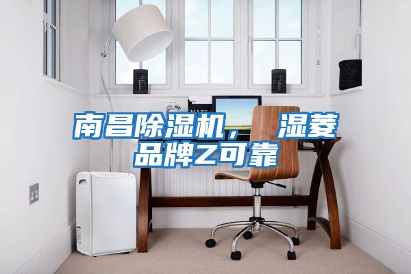 南昌除濕機， 濕菱品牌Z可靠