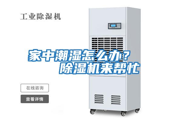 家中潮濕怎么辦？    除濕機來幫忙