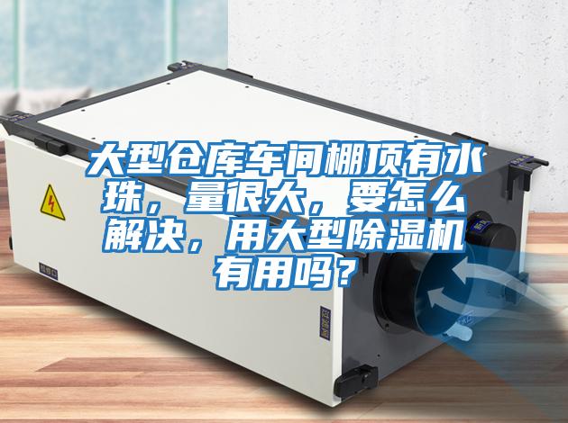 大型倉(cāng)庫車間棚頂有水珠，量很大，要怎么解決，用大型除濕機(jī)有用嗎？
