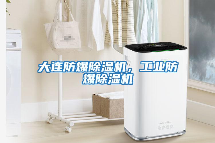 大連防爆除濕機(jī)，工業(yè)防爆除濕機(jī)