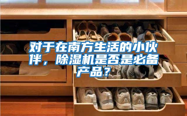 對于在南方生活的小伙伴，除濕機是否是必備產品？