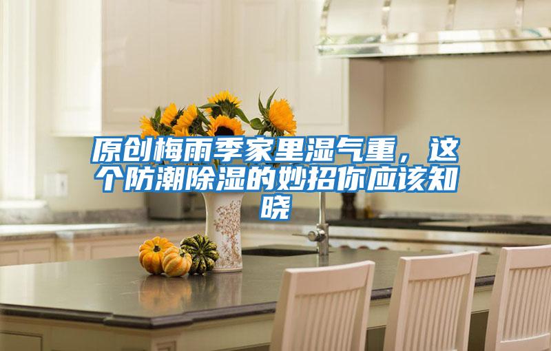 原創梅雨季家里濕氣重，這個防潮除濕的妙招你應該知曉