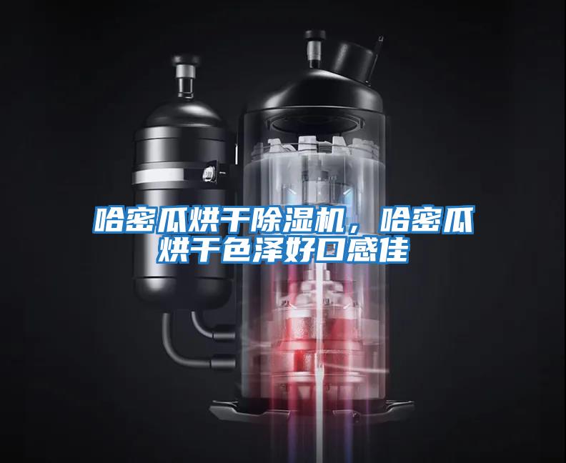 哈密瓜烘干除濕機，哈密瓜烘干色澤好口感佳