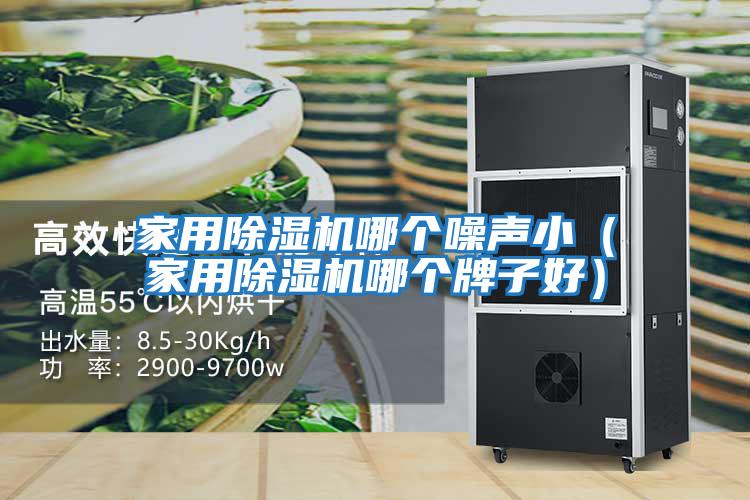 家用除濕機哪個噪聲?。矣贸凉駲C哪個牌子好）