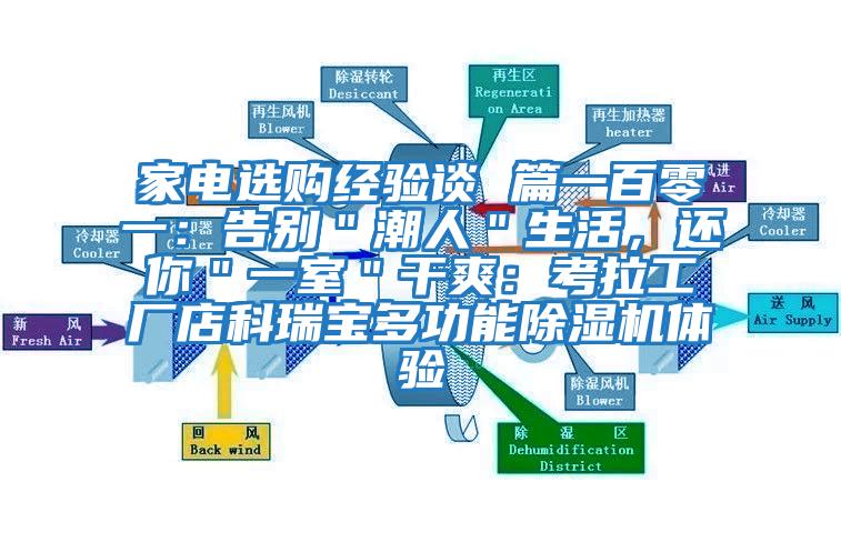 家電選購經(jīng)驗(yàn)談 篇一百零一：告別＂潮人＂生活，還你＂一室＂干爽：考拉工廠店科瑞寶多功能除濕機(jī)體驗(yàn)