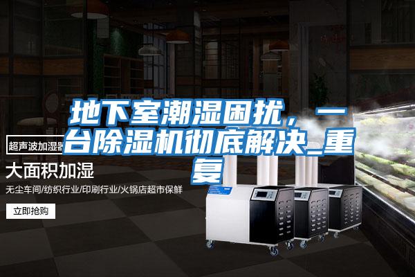地下室潮濕困擾，一臺除濕機徹底解決_重復