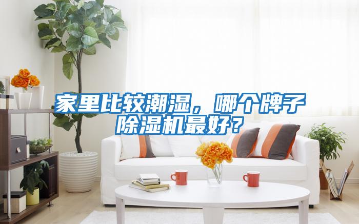 家里比較潮濕，哪個牌子除濕機(jī)最好？