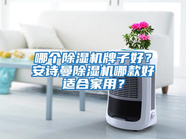 哪個除濕機牌子好？安詩曼除濕機哪款好適合家用？