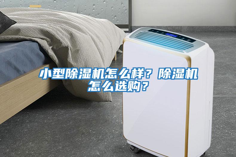 小型除濕機怎么樣？除濕機怎么選購？