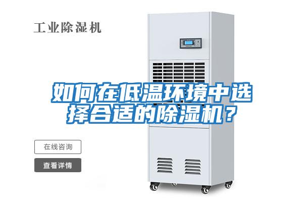 如何在低溫環境中選擇合適的除濕機？