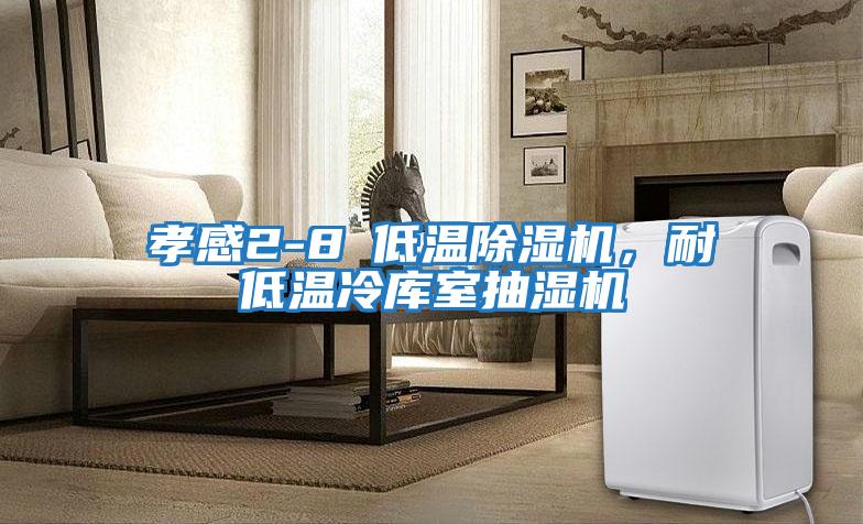孝感2-8℃低溫除濕機(jī)，耐低溫冷庫(kù)室抽濕機(jī)