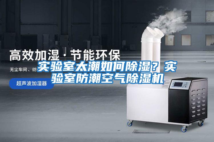 實驗室太潮如何除濕？實驗室防潮空氣除濕機