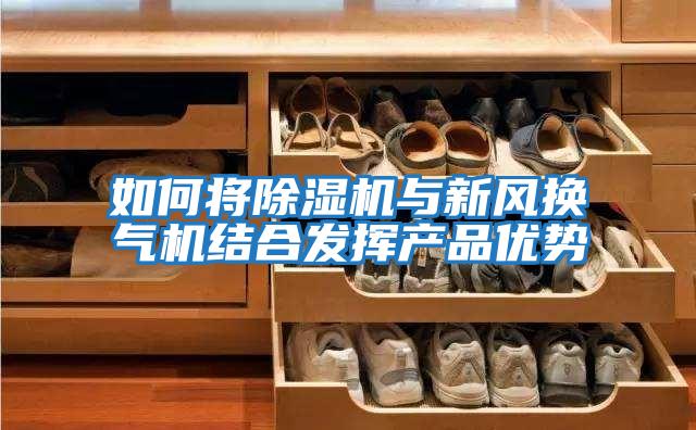 如何將除濕機與新風換氣機結合發(fā)揮產(chǎn)品優(yōu)勢