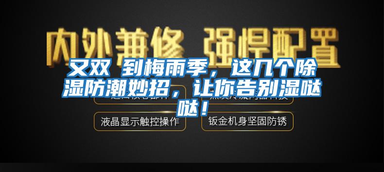 又雙叒到梅雨季，這幾個除濕防潮妙招，讓你告別濕噠噠！