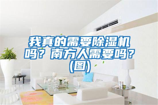 我真的需要除濕機嗎？南方人需要嗎？(圖)
