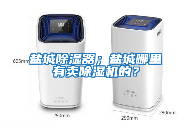 鹽城除濕器；鹽城哪里有賣除濕機的？